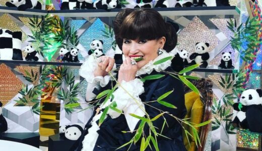 黒柳徹子が結婚しなかった理由は仕事とお見合い相手の発言！４０年間も交際するが亡くなる