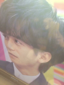 nisikidoryo